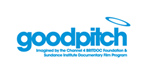 the good pitch
